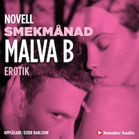 Smekmånad : en novell ur Begär
