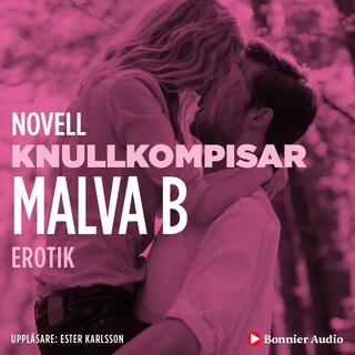 Knullkompisar : en novell ur Begär bookCoverFor
