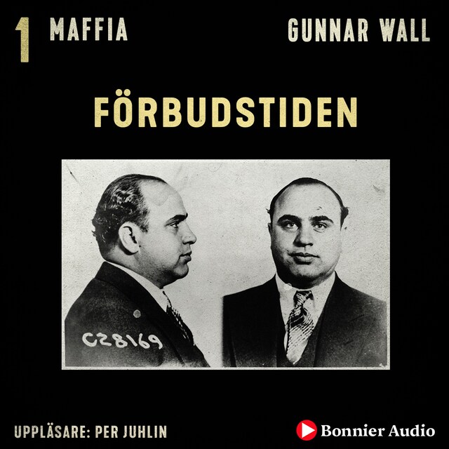 Book cover for Förbudstiden