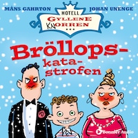 Bröllopskatastrofen : när det snöade på sommaren i rum 11.