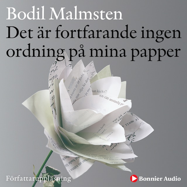 Book cover for Det är fortfarande ingen ordning på mina papper