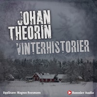 Vinterhistorier