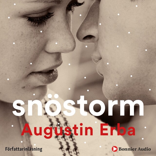 Book cover for Snöstorm