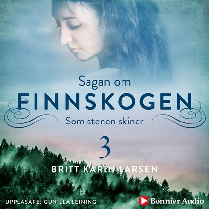 Som stenen skiner bookCoverFor