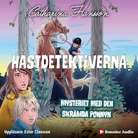 Mysteriet med den skrämda ponnyn