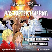 Mysteriet med branden på ponnyklubben