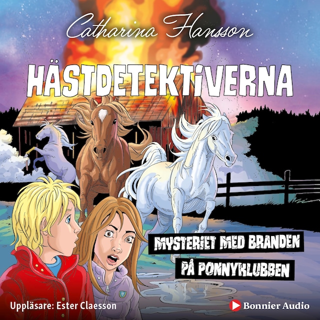 Book cover for Mysteriet med branden på ponnyklubben