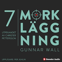 Utpekandet av Christer Pettersson : Mörkläggning - Statsmakten och Palmemordet