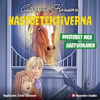 Mysteriet med hästviskaren