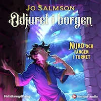 Nijko och fången i tornet