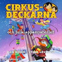 Cirkusdeckarna och julklappsmysteriet