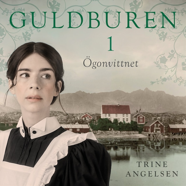 Copertina del libro per Ögonvittnet