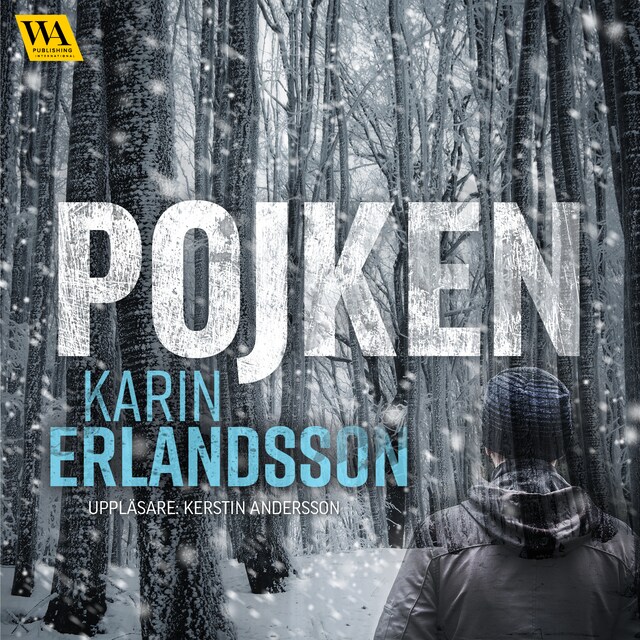 Book cover for Pojken