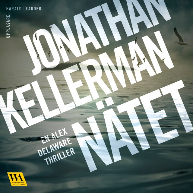 Book cover for Nätet