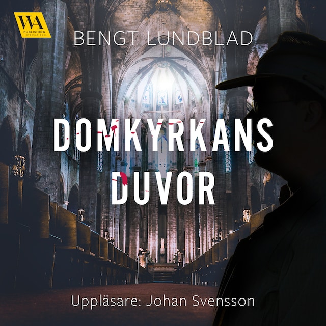 Book cover for Domkyrkans duvor