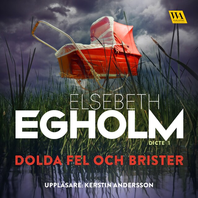 Book cover for Dolda fel och brister