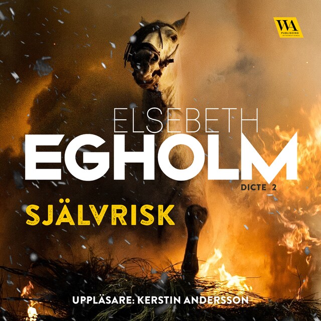 Book cover for Självrisk