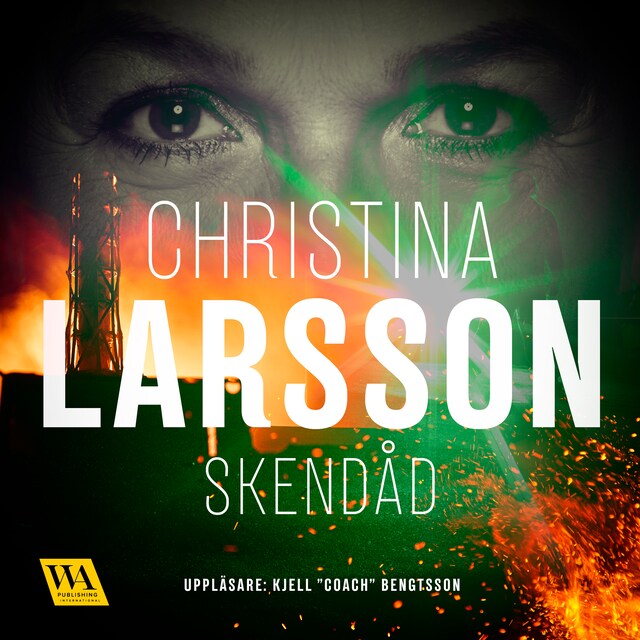 Book cover for Skendåd