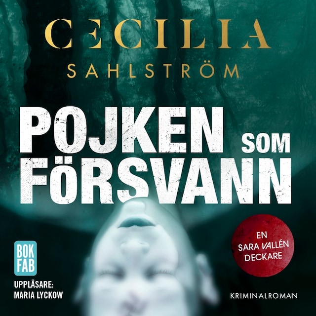 Okładka książki dla Pojken som försvann