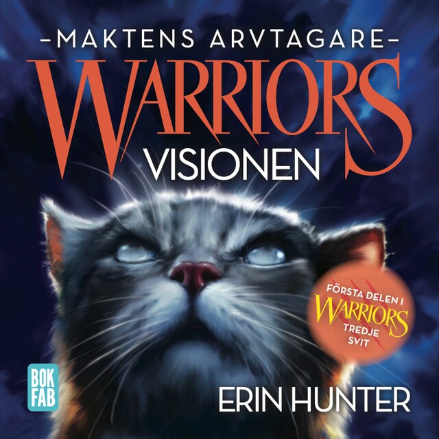 Book cover for Warriors 3: Visionen
