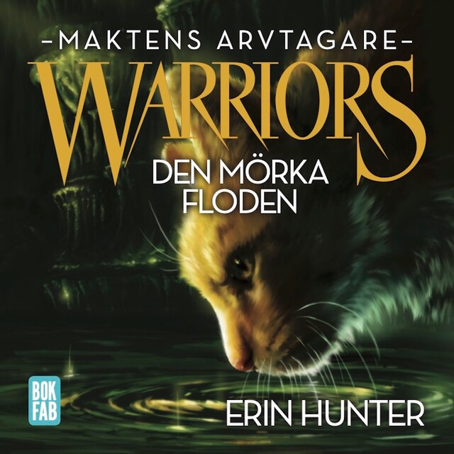 Boekomslag van Warriors 3: Den mörka floden