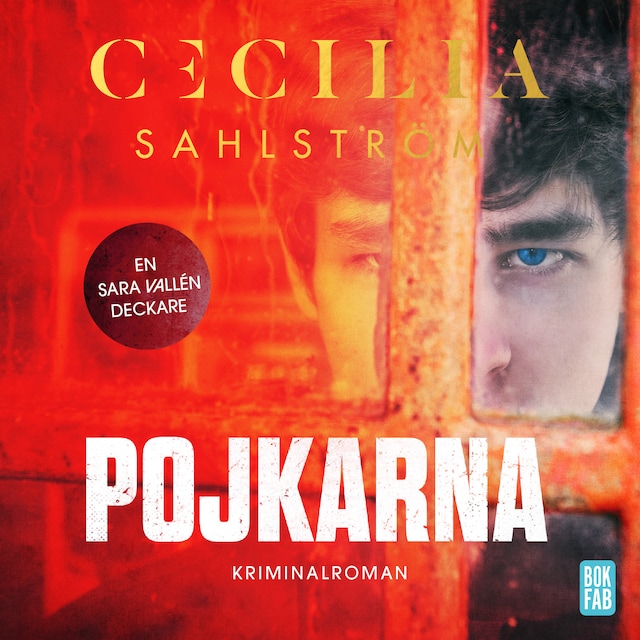 Book cover for Pojkarna