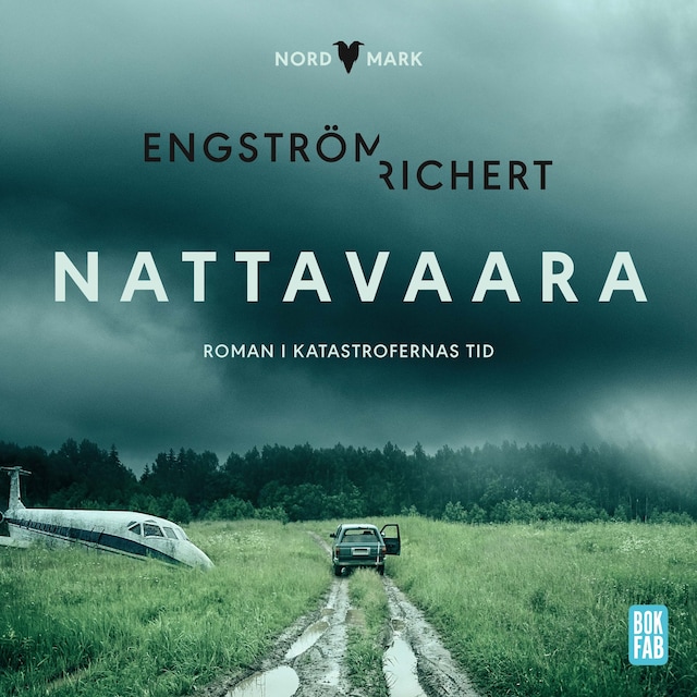 Buchcover für Nattavaara