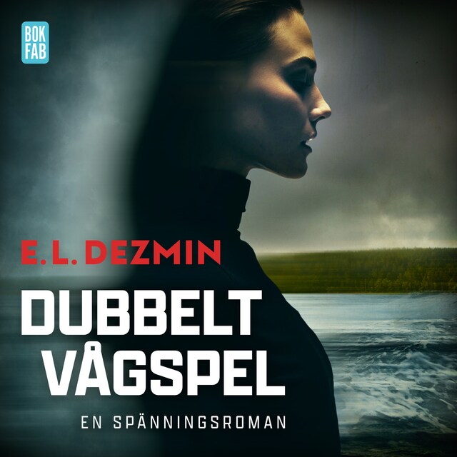 Book cover for Dubbelt vågspel