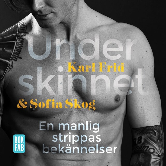 Book cover for Under skinnet
