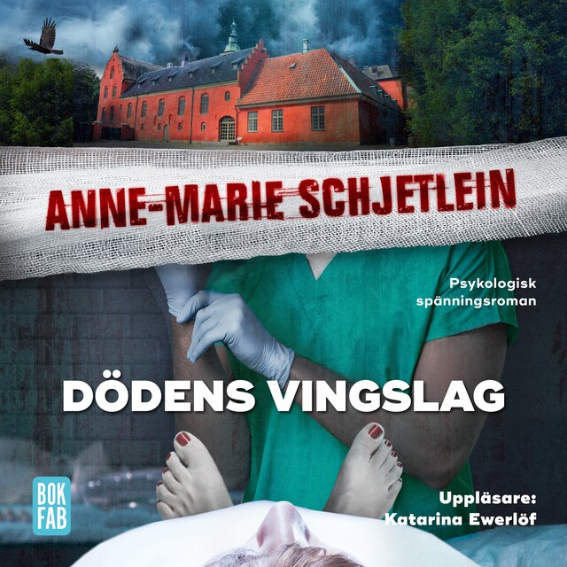 Buchcover für Dödens vingslag