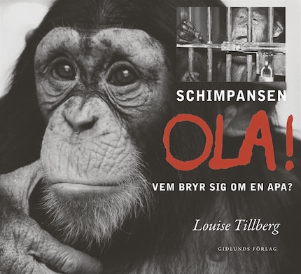 Schimpansen Ola! Vem bryr sig om en apa? bookCoverFor