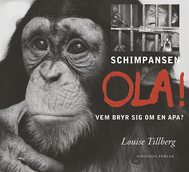 Book cover for Schimpansen Ola! Vem bryr sig om en apa?