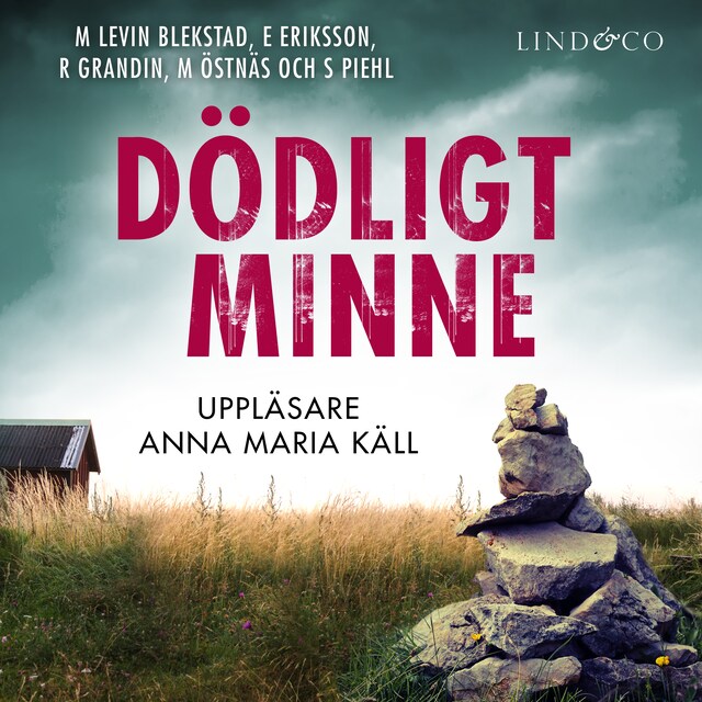 Book cover for Dödligt minne