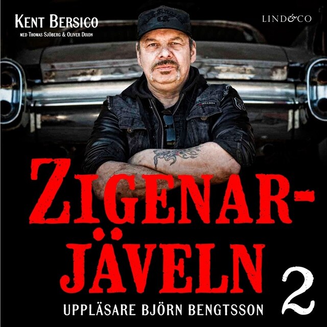 Couverture de livre pour Zigenarjäveln - Del 2