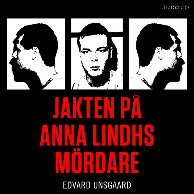 Book cover for Jakten på Anna Lindhs mördare