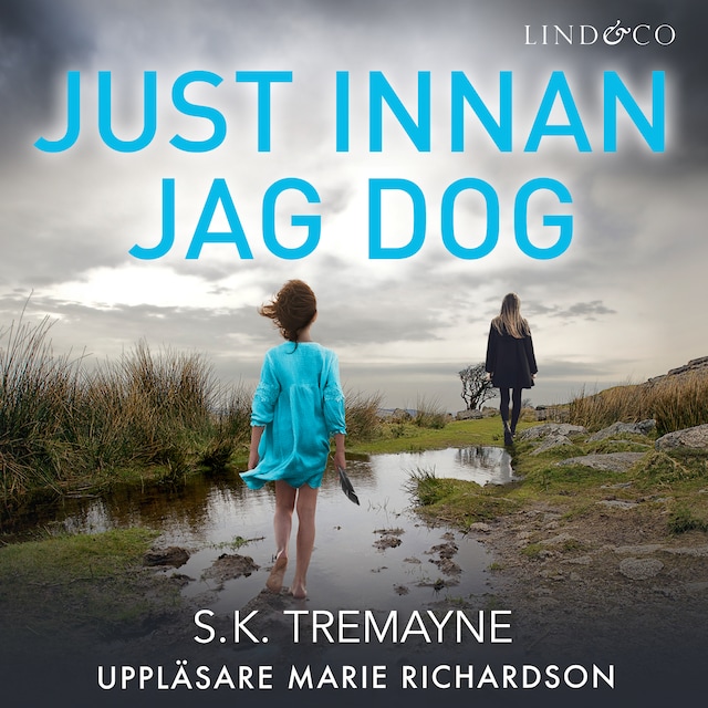 Book cover for Just innan jag dog