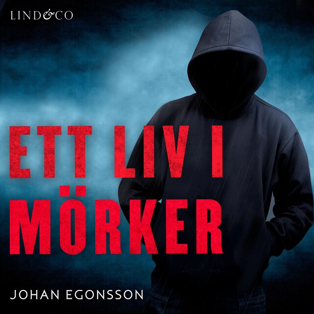 Couverture de livre pour Ett liv i mörker: En sann historia