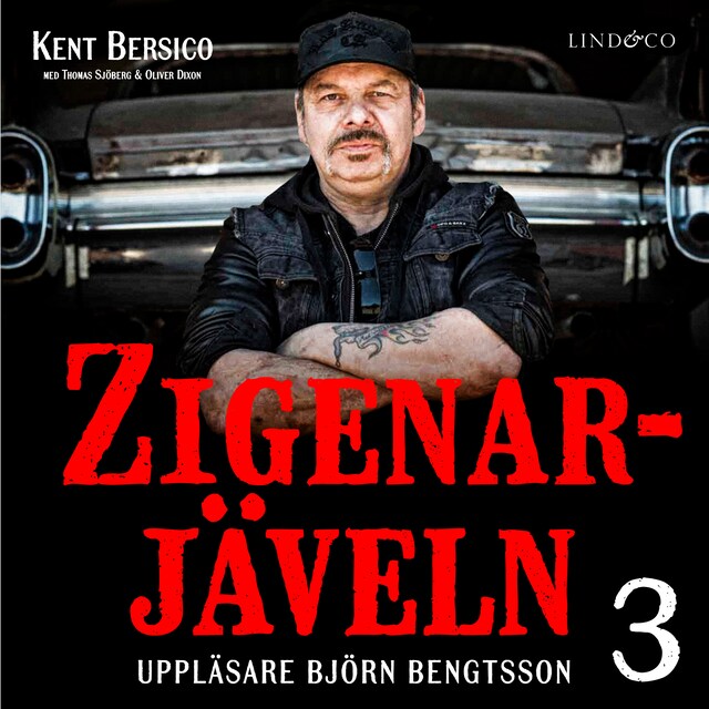 Couverture de livre pour Zigenarjäveln - Del 3