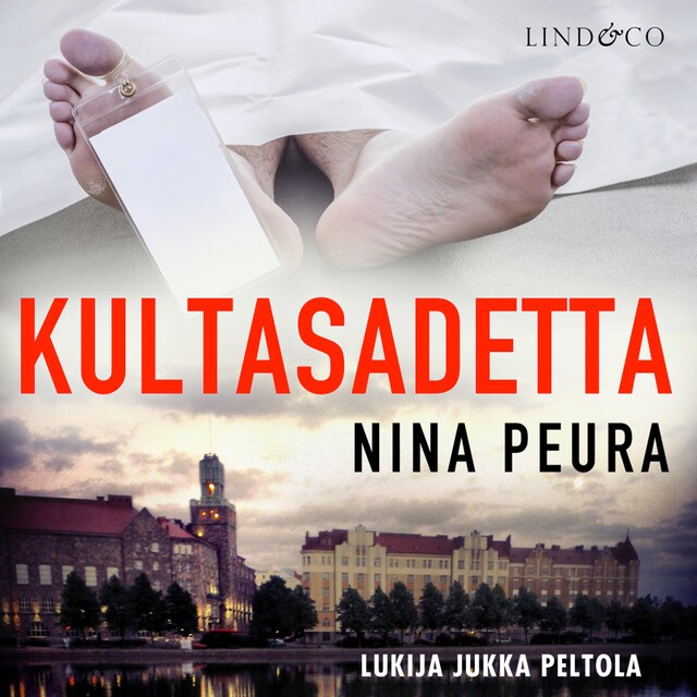 Book cover for Kultasadetta