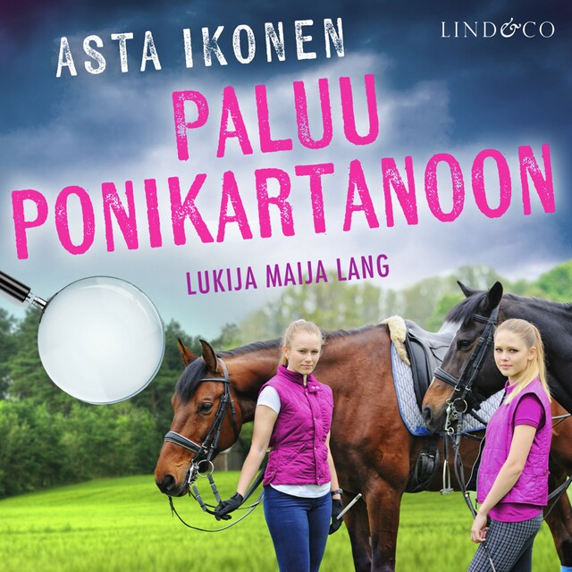 Book cover for Paluu ponikartanoon