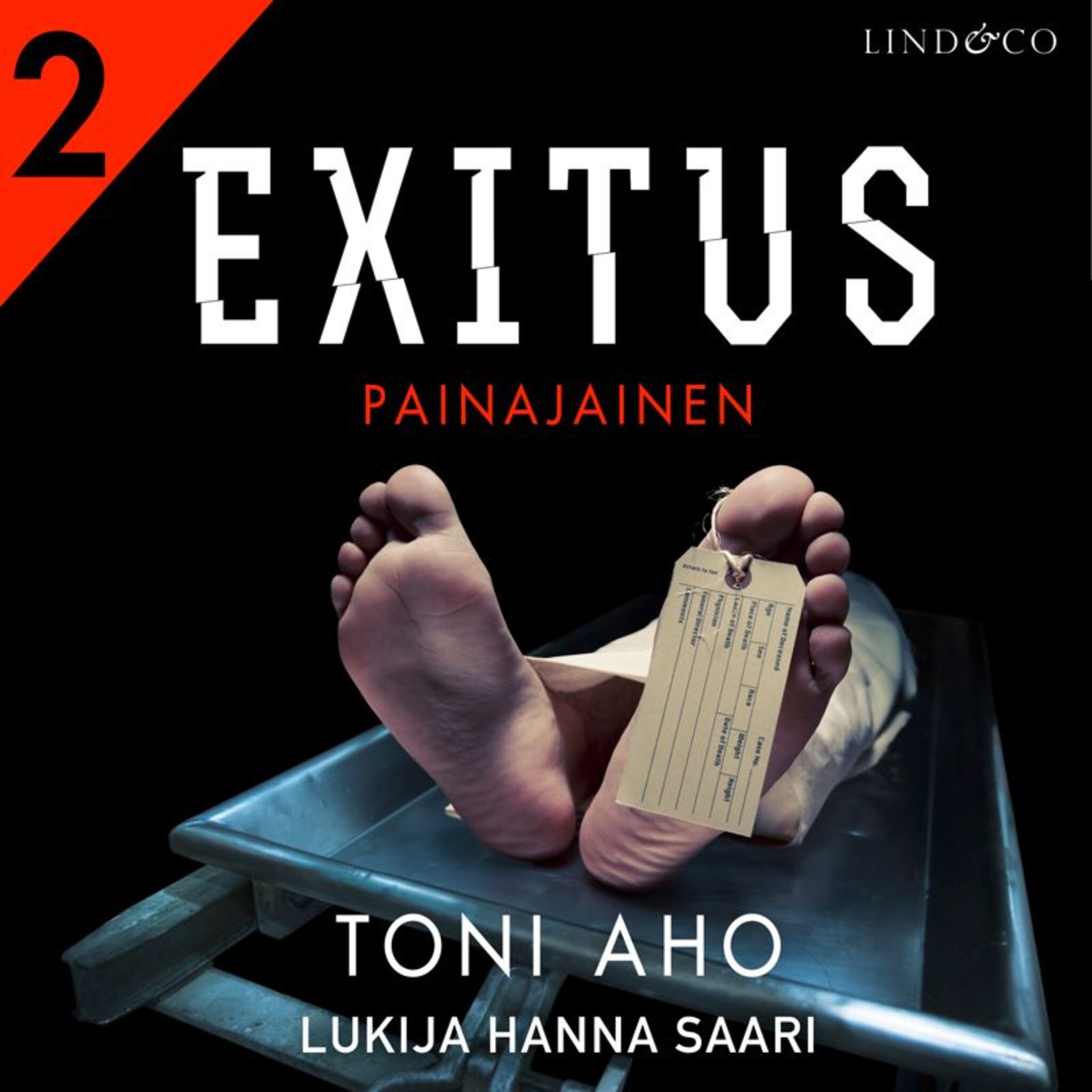 Äänikirjan Exitus: Painajainen kansikuva