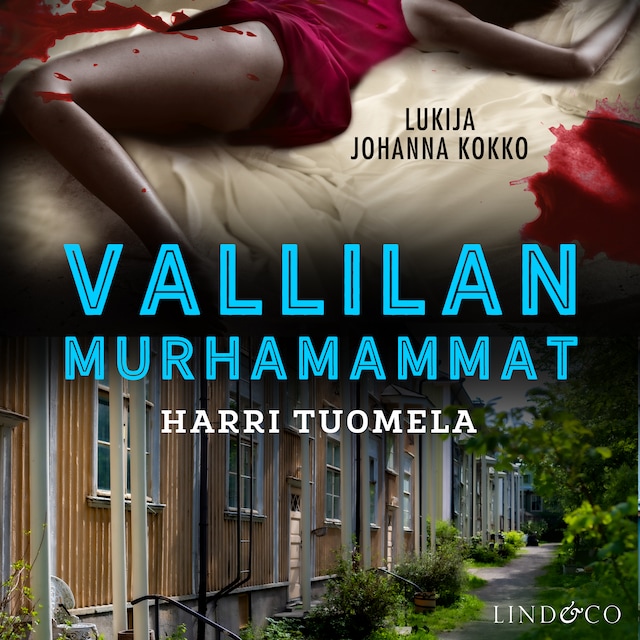 Book cover for Vallilan murhamammat