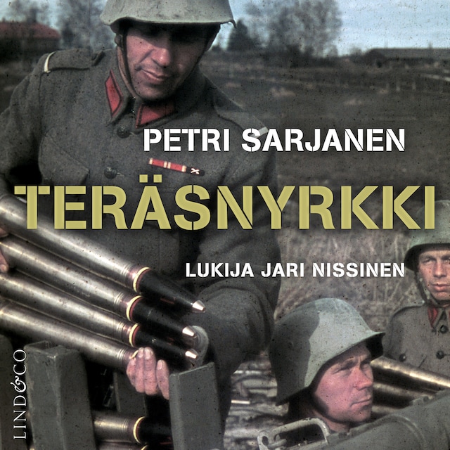 Book cover for Teräsnyrkki
