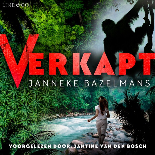 Book cover for Verkapt