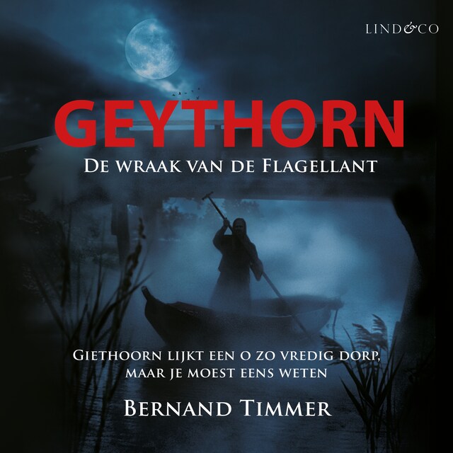 Book cover for Ben Stil: Geythorn
