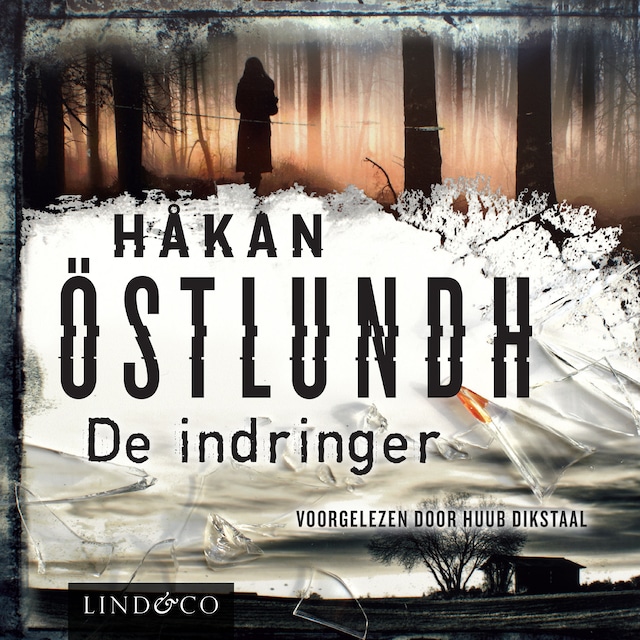 Book cover for Fredrik Broman: De indringer