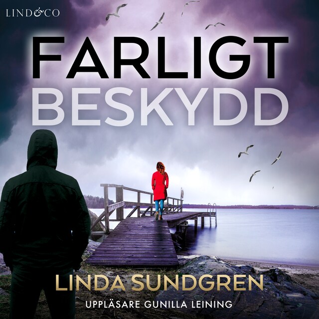 Book cover for Farligt beskydd