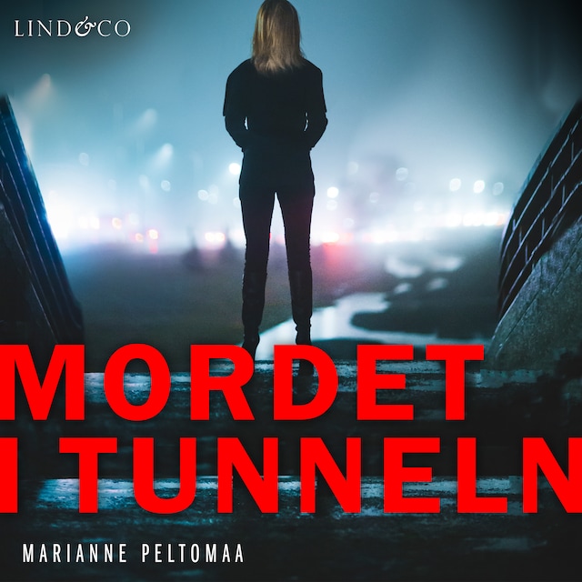 Book cover for Mordet i tunneln