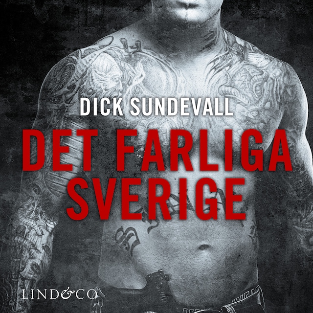 Okładka książki dla Det farliga Sverige