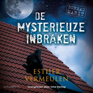 Bureau Marit - De mysterieuze inbraken - luisterboek